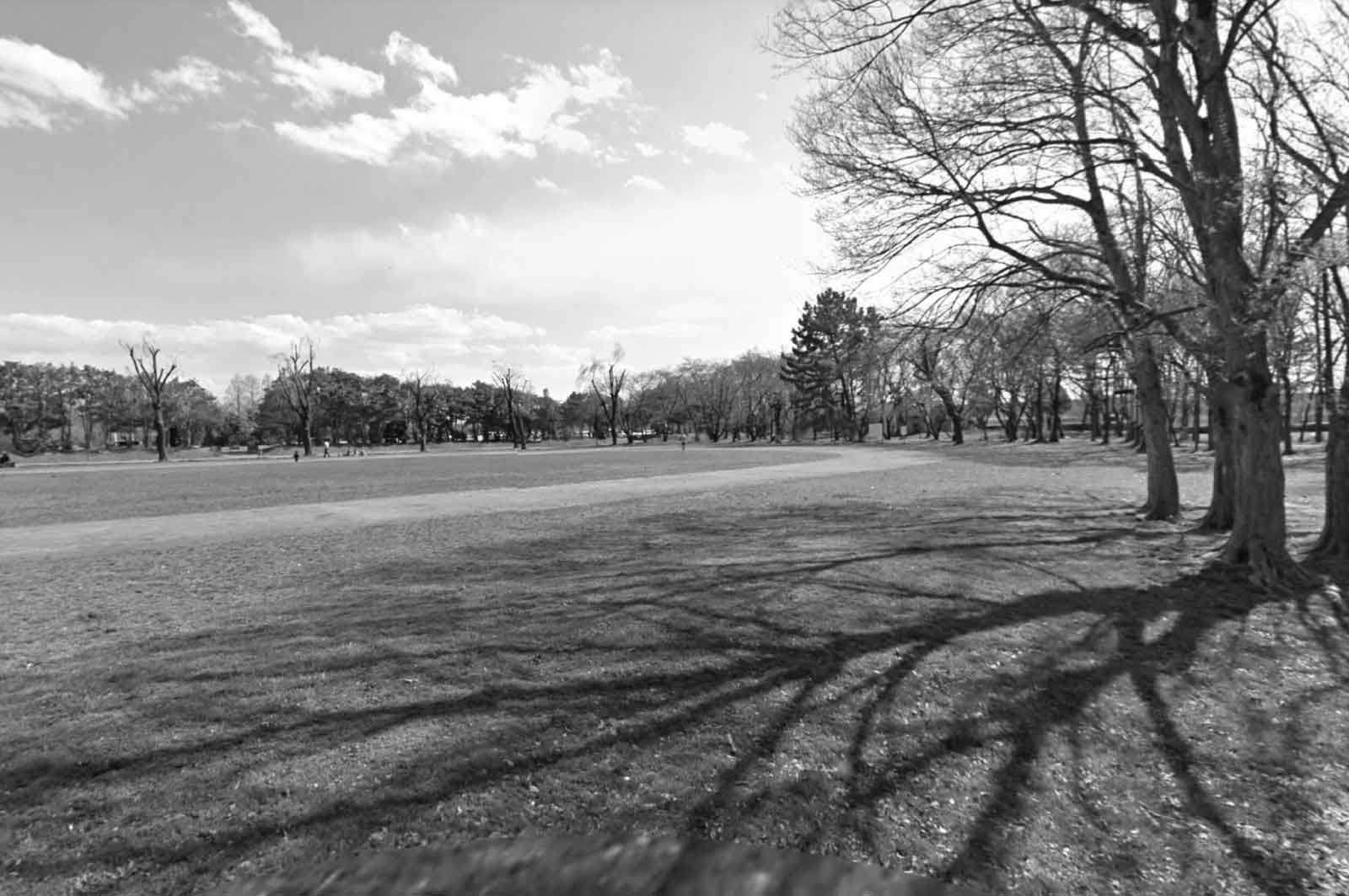秋ヶ瀬公園