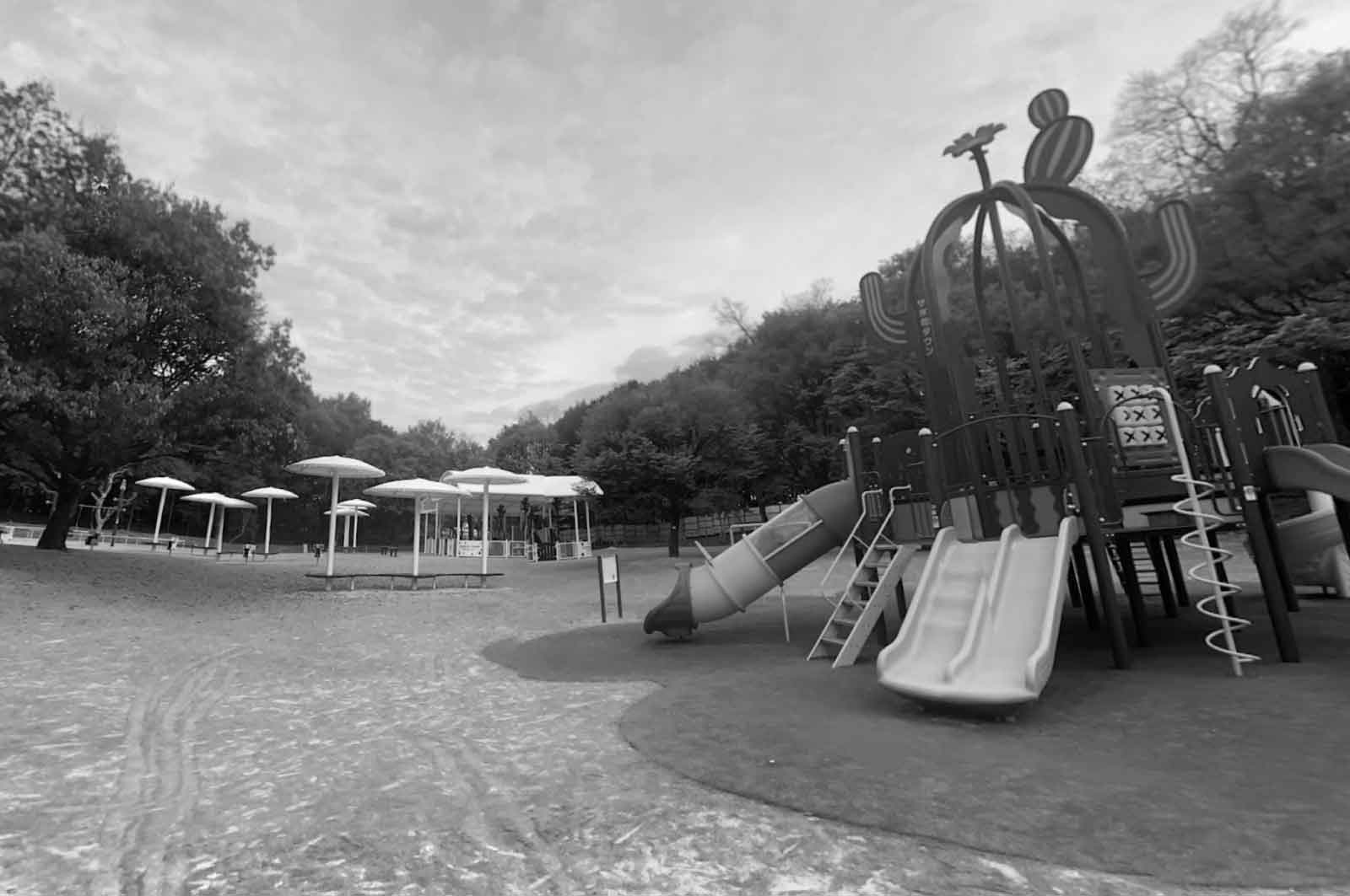 朝宮公園
