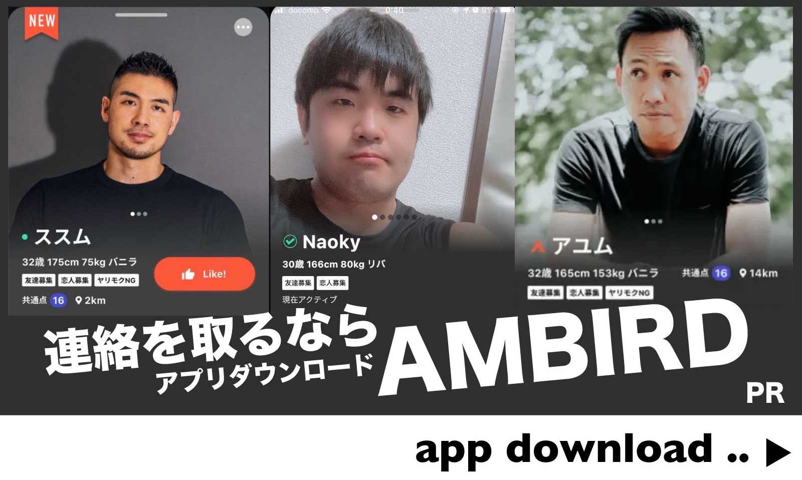 AMBIRD GUYS