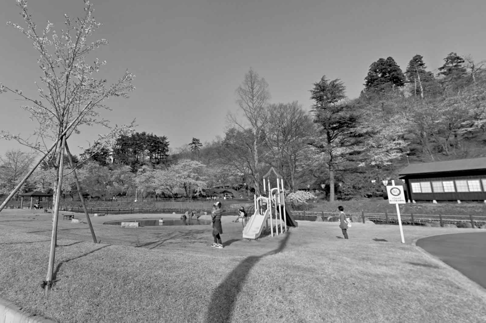 前森公園（湯沢市）