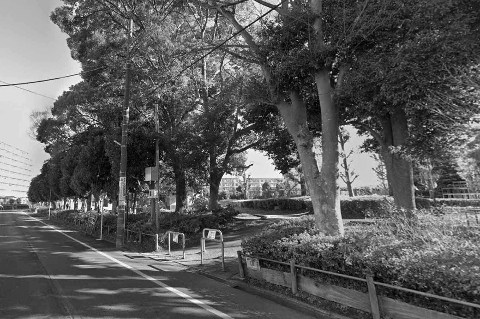 六実中央公園