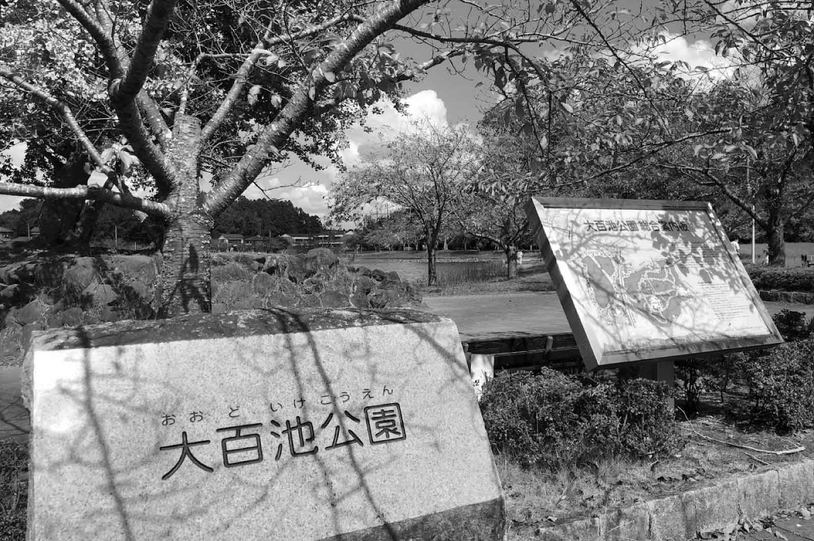 大百池公園