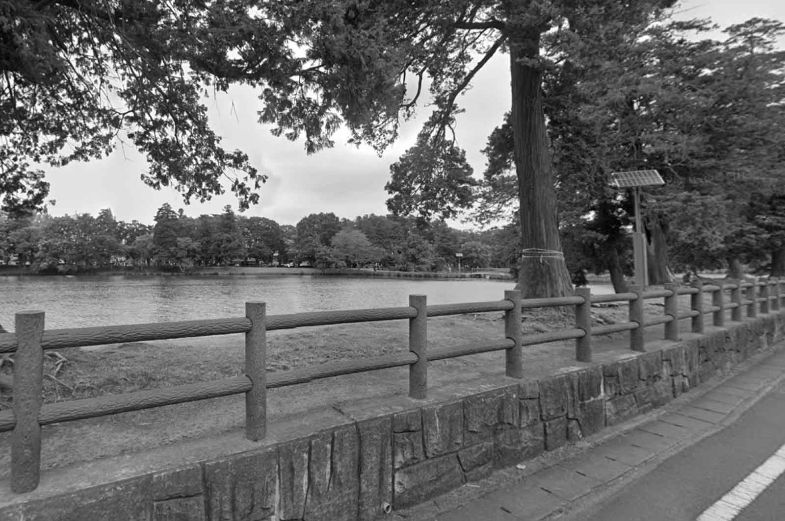 大島公園