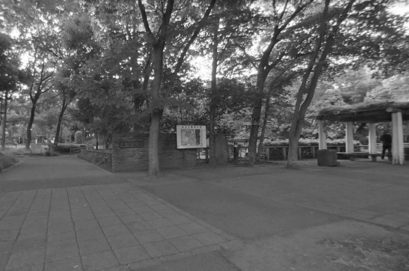 後谷公園