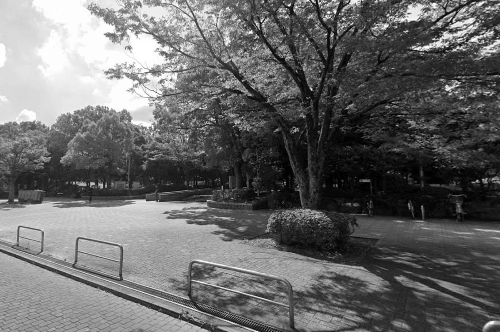 蕨市民公園