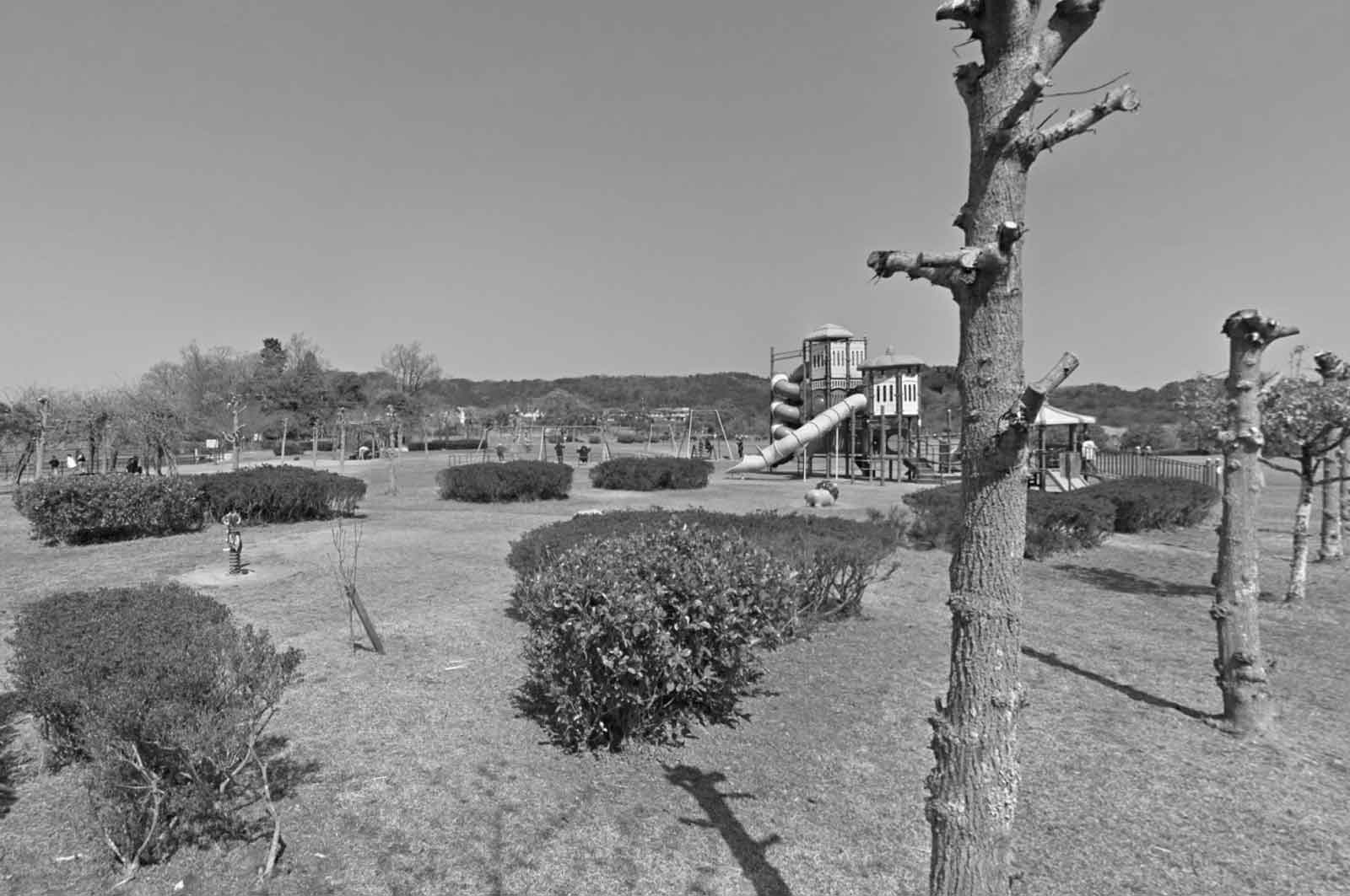 朝熊山麓公園