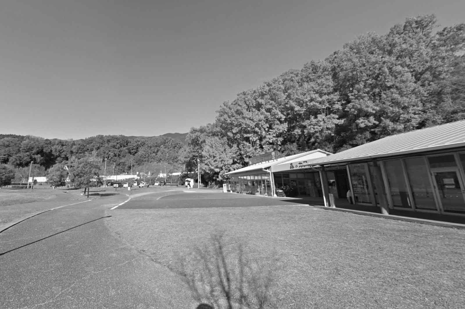 5万人の森公園