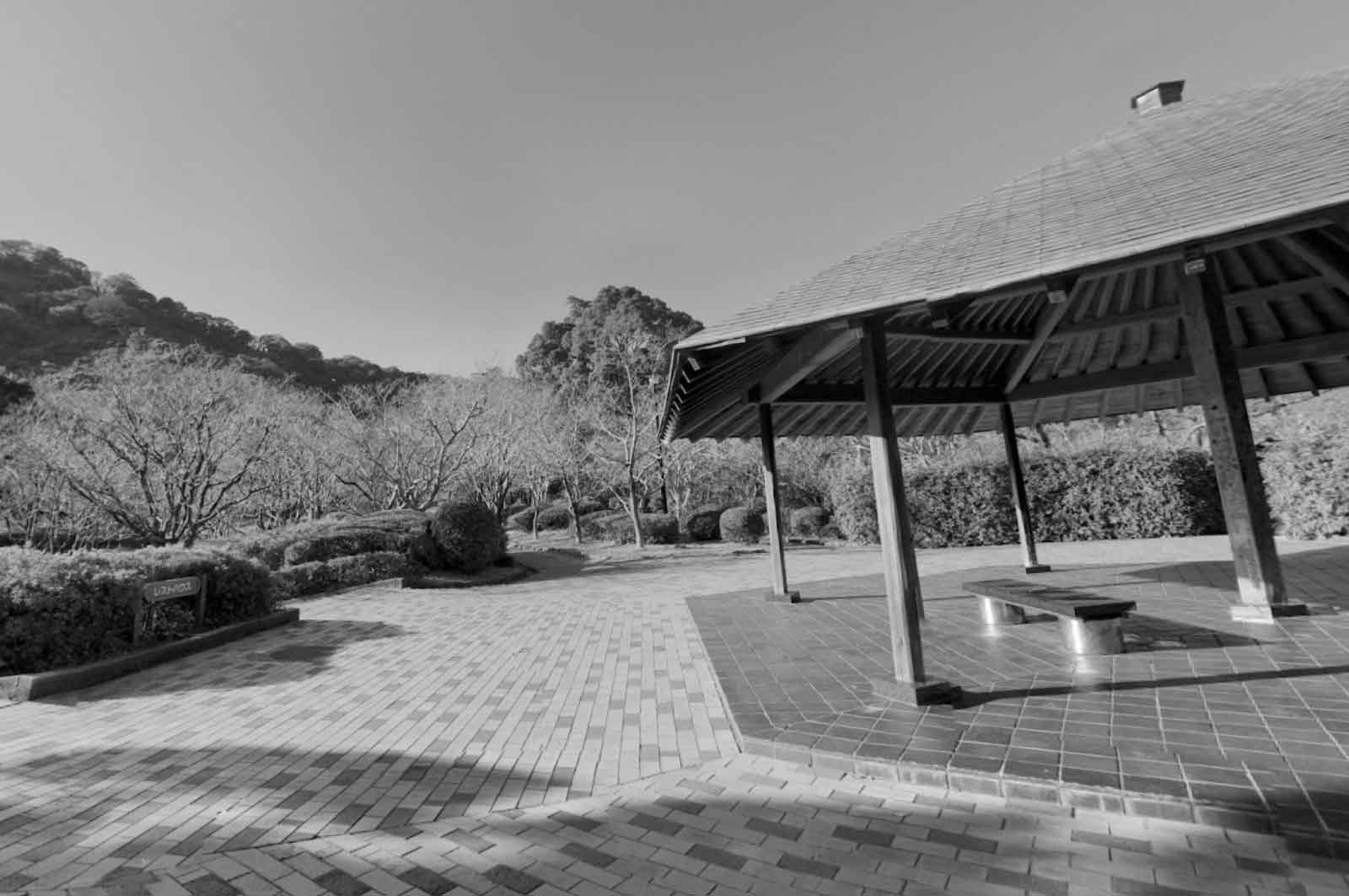 城北公園