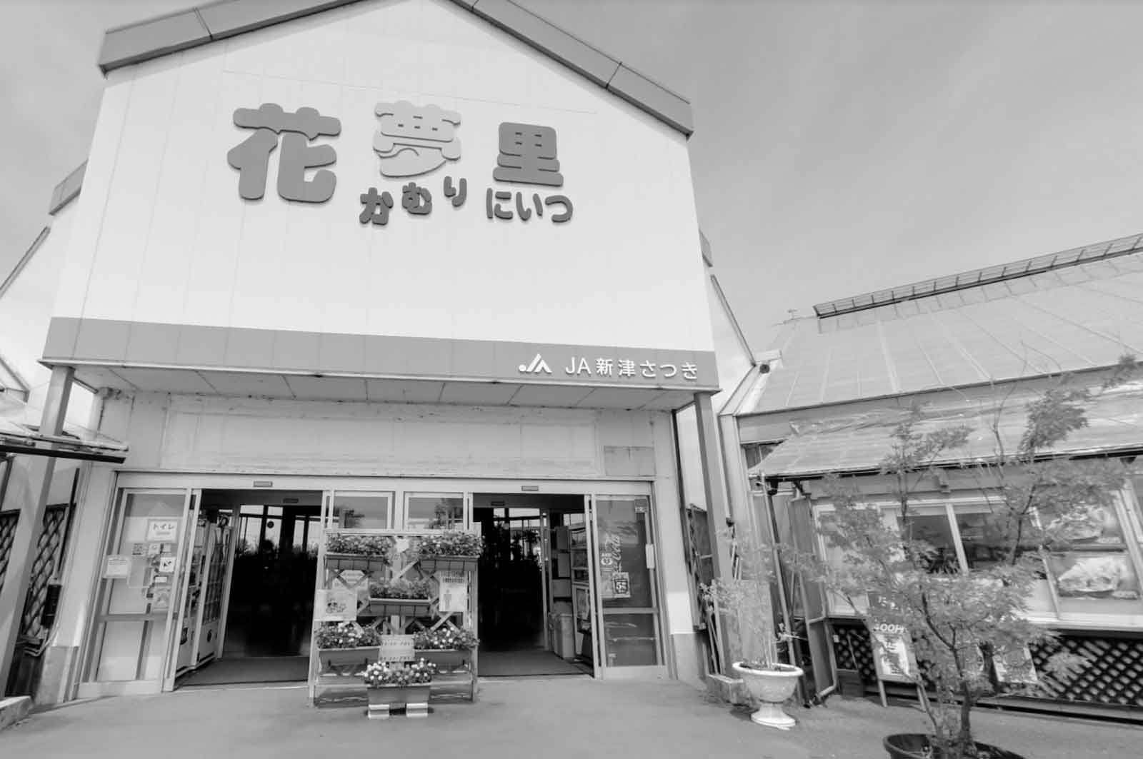 道の駅 花夢里にいつ