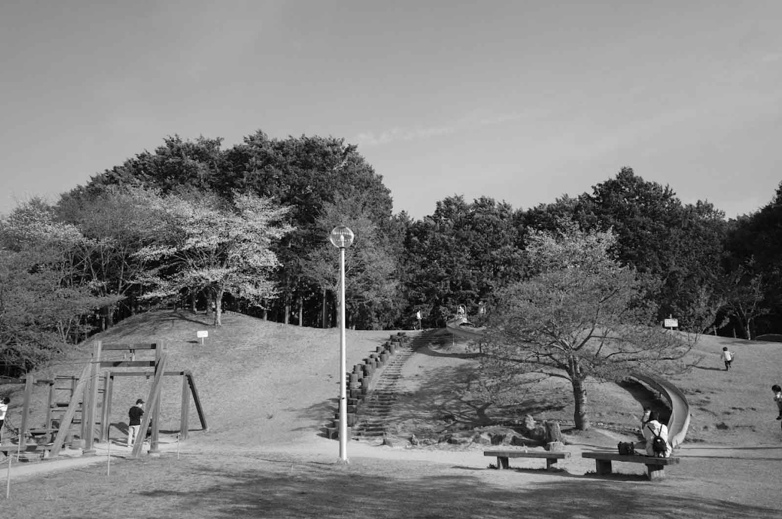 葛城山麓公園