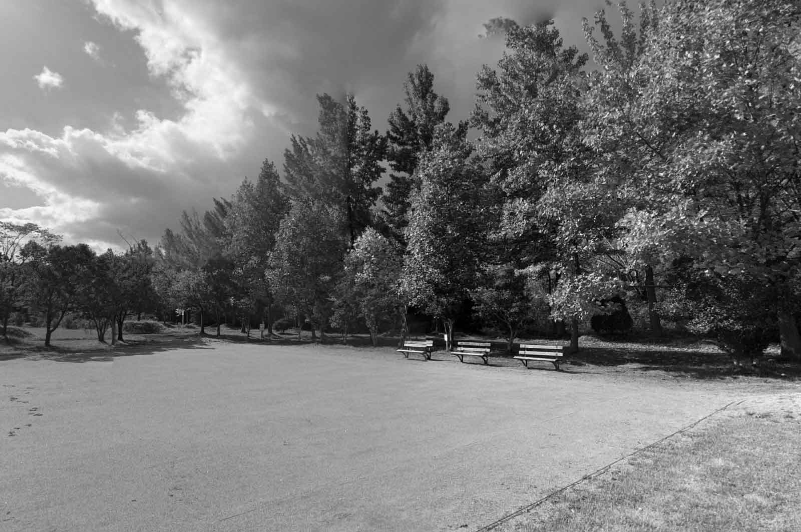 南中山公園