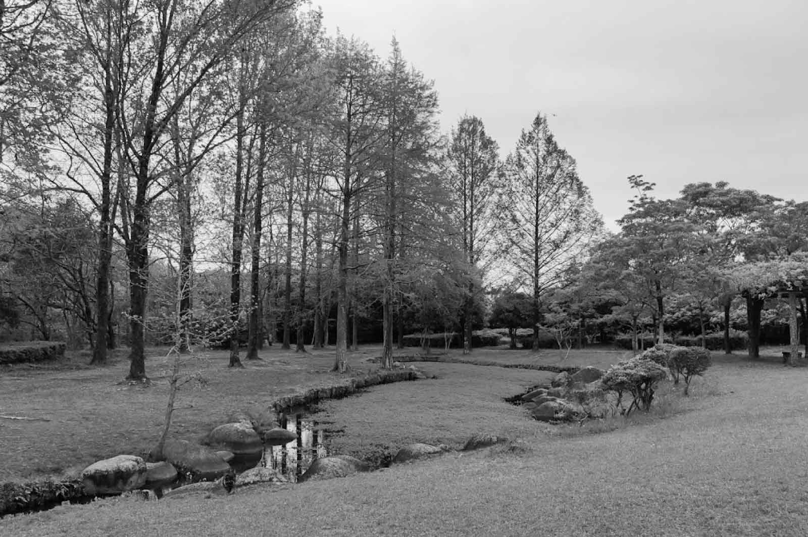 森の水車公園