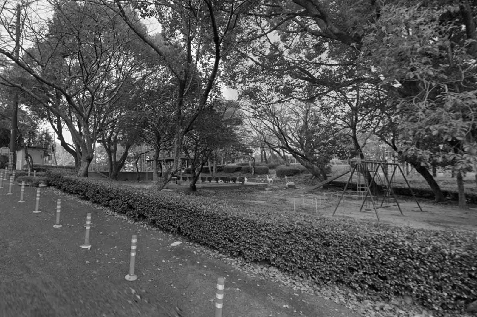 向山公園