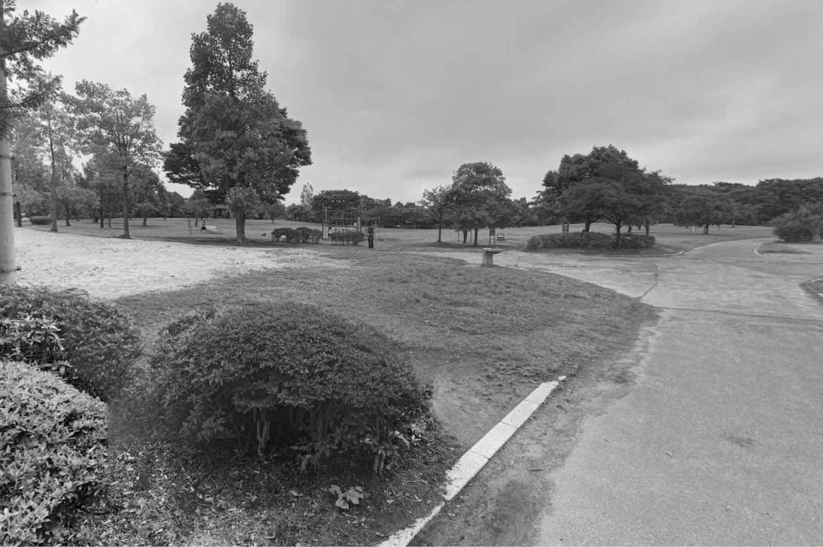 中田中央公園