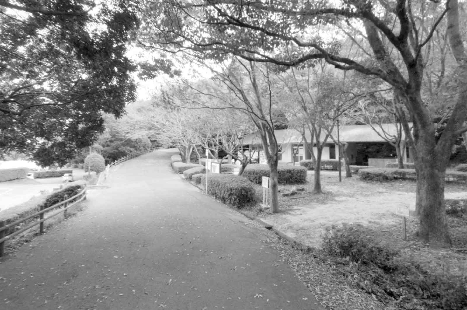 高尾山自然公園