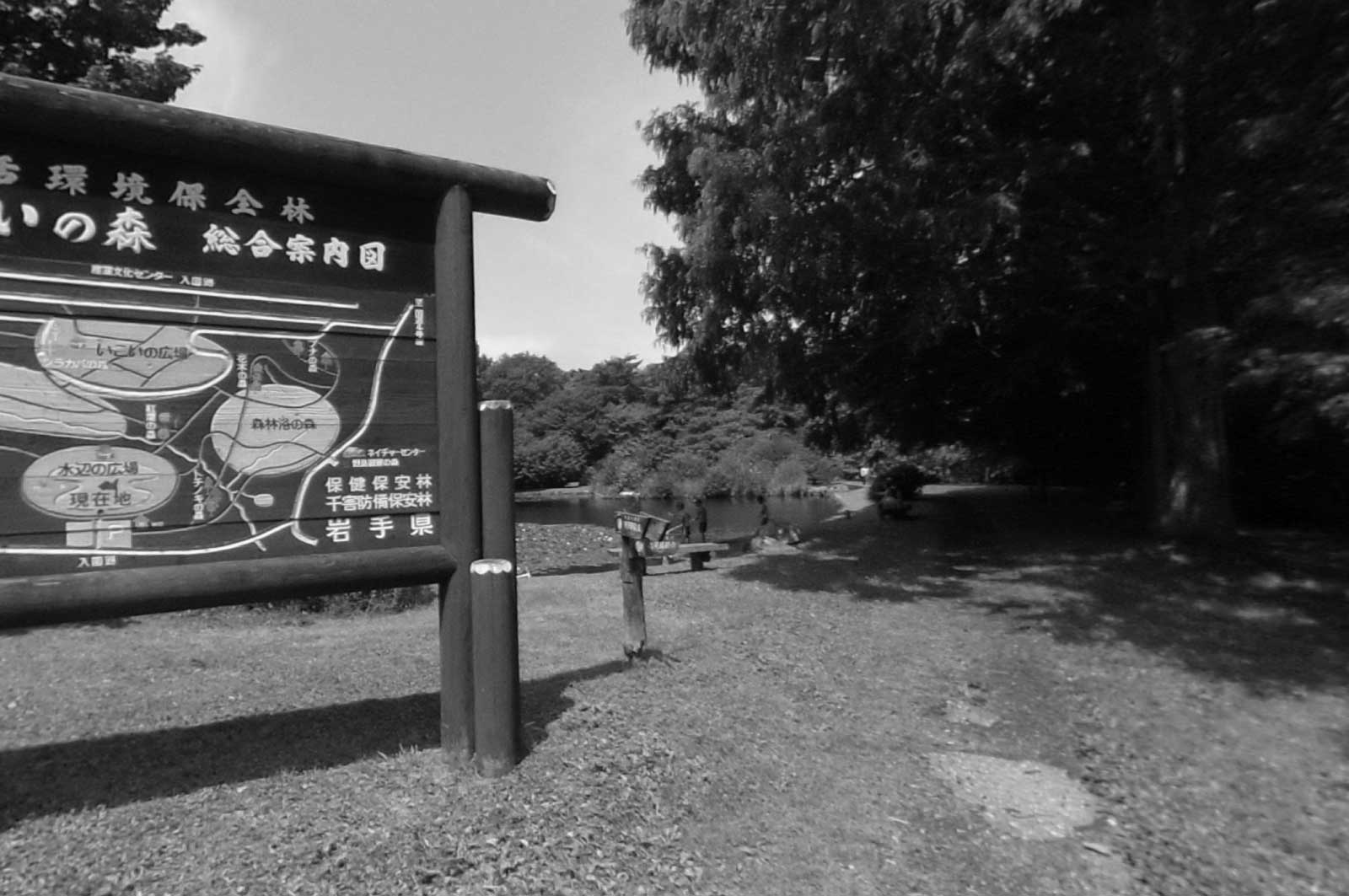 滝沢森林公園