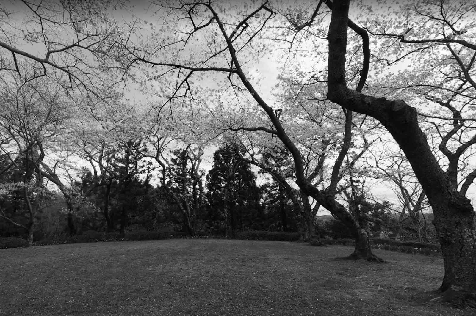 館山公園
