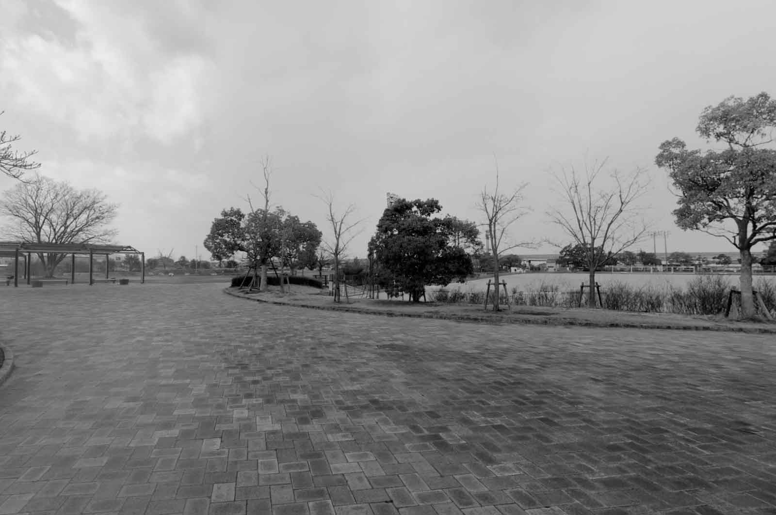 大和高田市総合公園