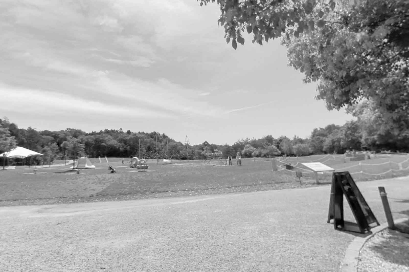 びわこ文化公園