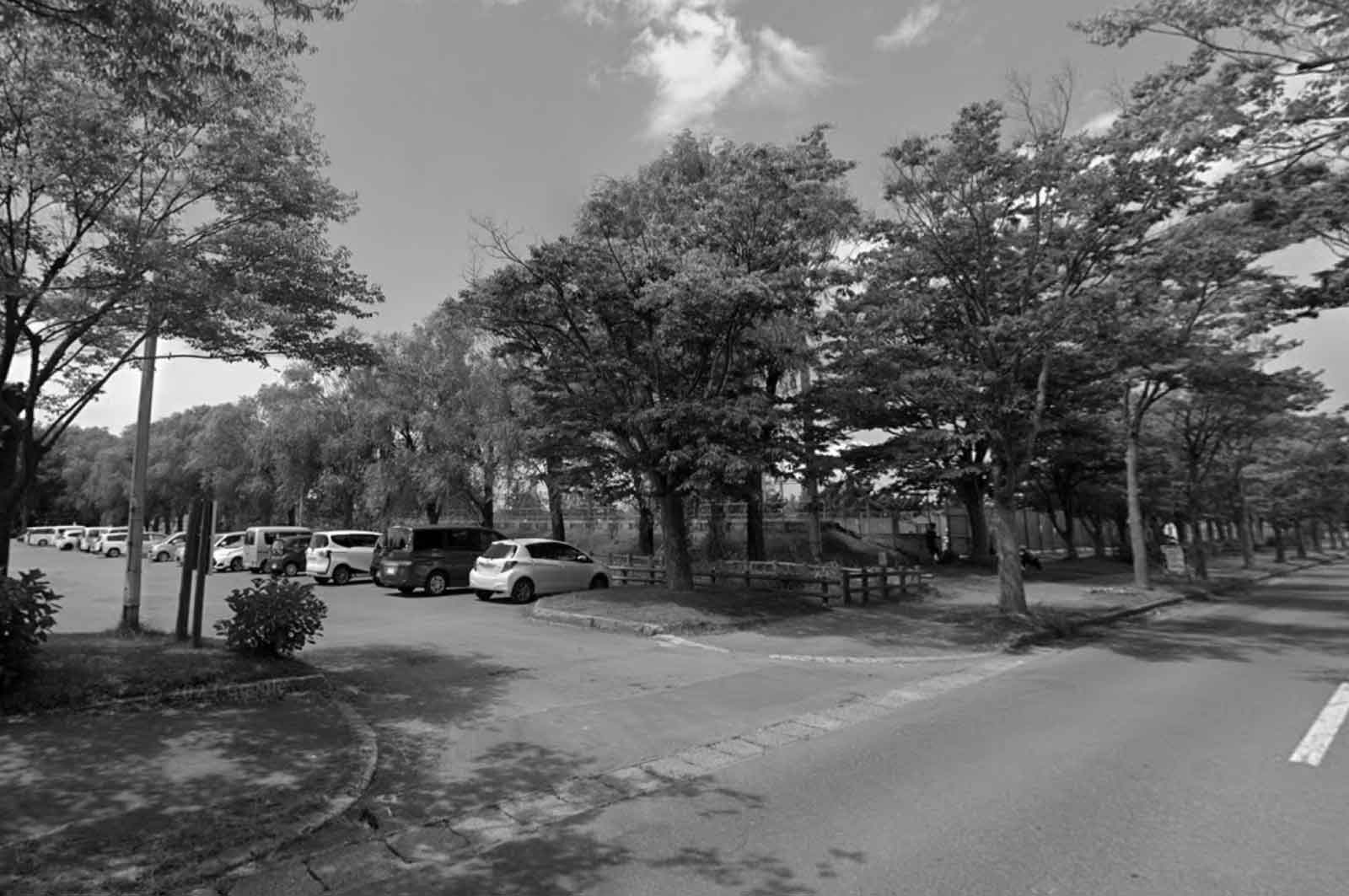 菊ヶ丘運動公園テニスコート