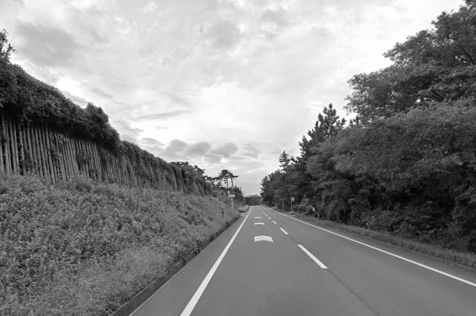 しおさいロード